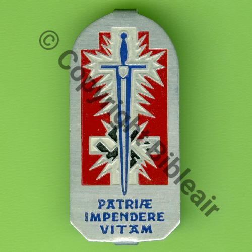 TROUPES OCCUPATION AUTRICHE Alu Peint Fab locale Dos irreg 2Pattes a coudre  BLEU Src.Y.GENTY 24Eur(x2) 